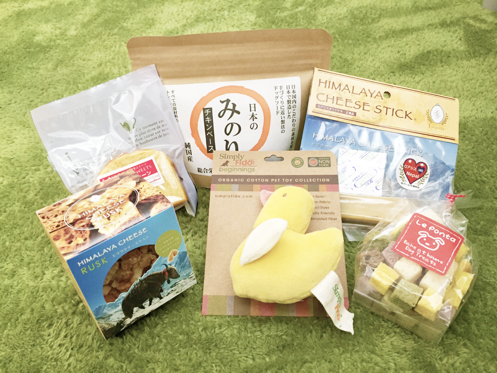動物,犬,猫,しつけ,飼い方,育て方,病気,健康