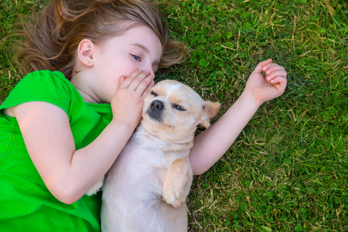 動物,犬,猫,しつけ,飼い方,育て方,病気,健康