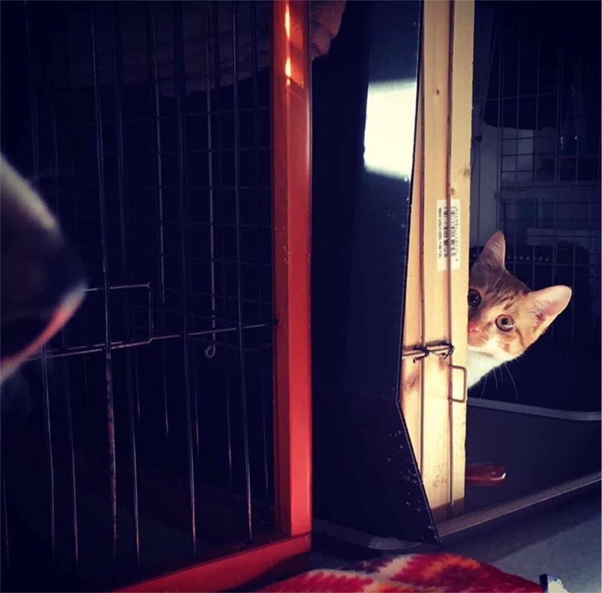 2.