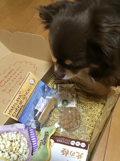 ちゃちゃまるくん