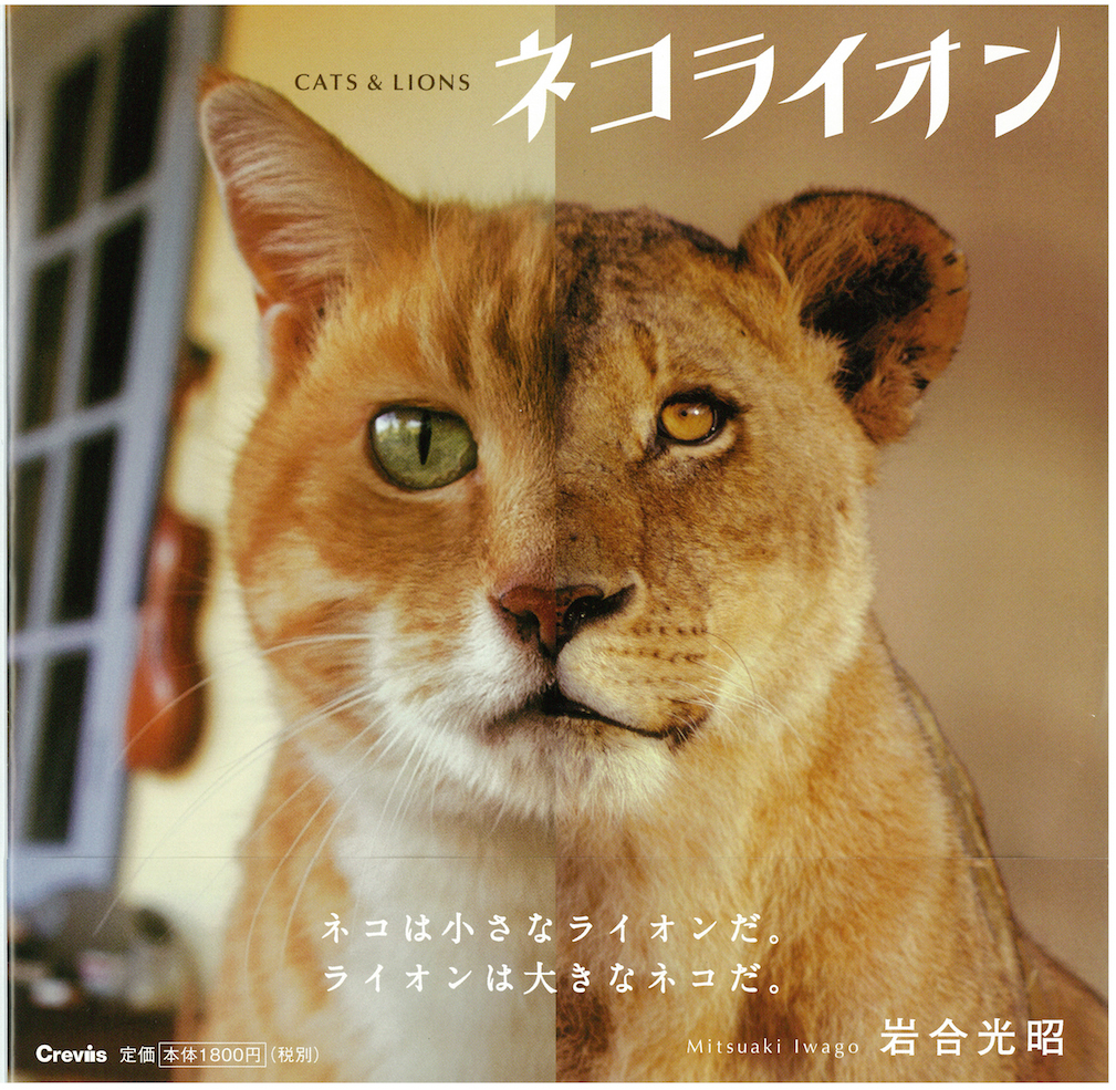 動物,犬,猫,しつけ,飼い方,育て方,病気,健康