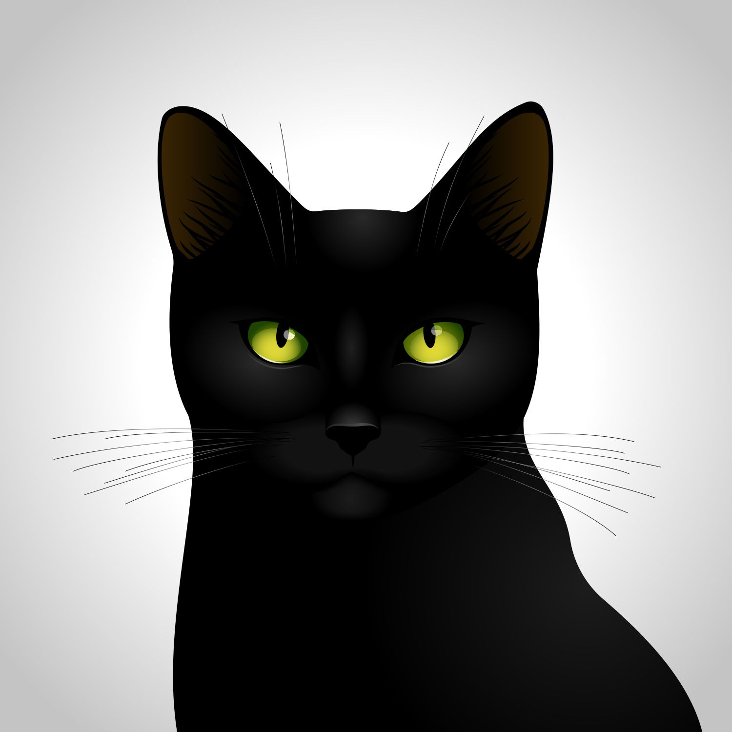動物,犬,猫,しつけ,飼い方,育て方,病気,健康