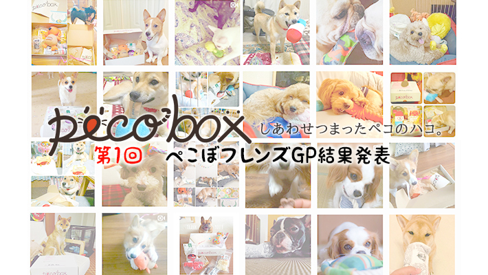 動物,犬,猫,しつけ,飼い方,育て方,病気,健康