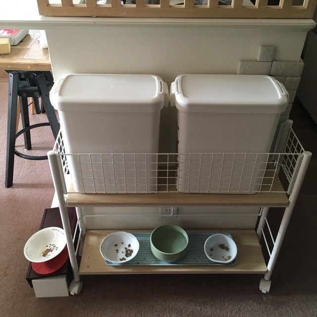 動物,犬,猫,しつけ,飼い方,育て方,病気,健康