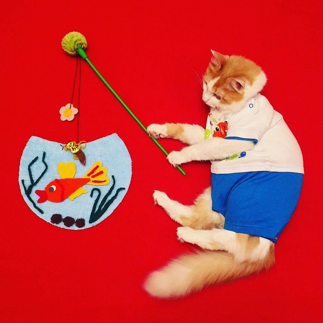 動物,犬,猫,しつけ,飼い方,育て方,病気,健康