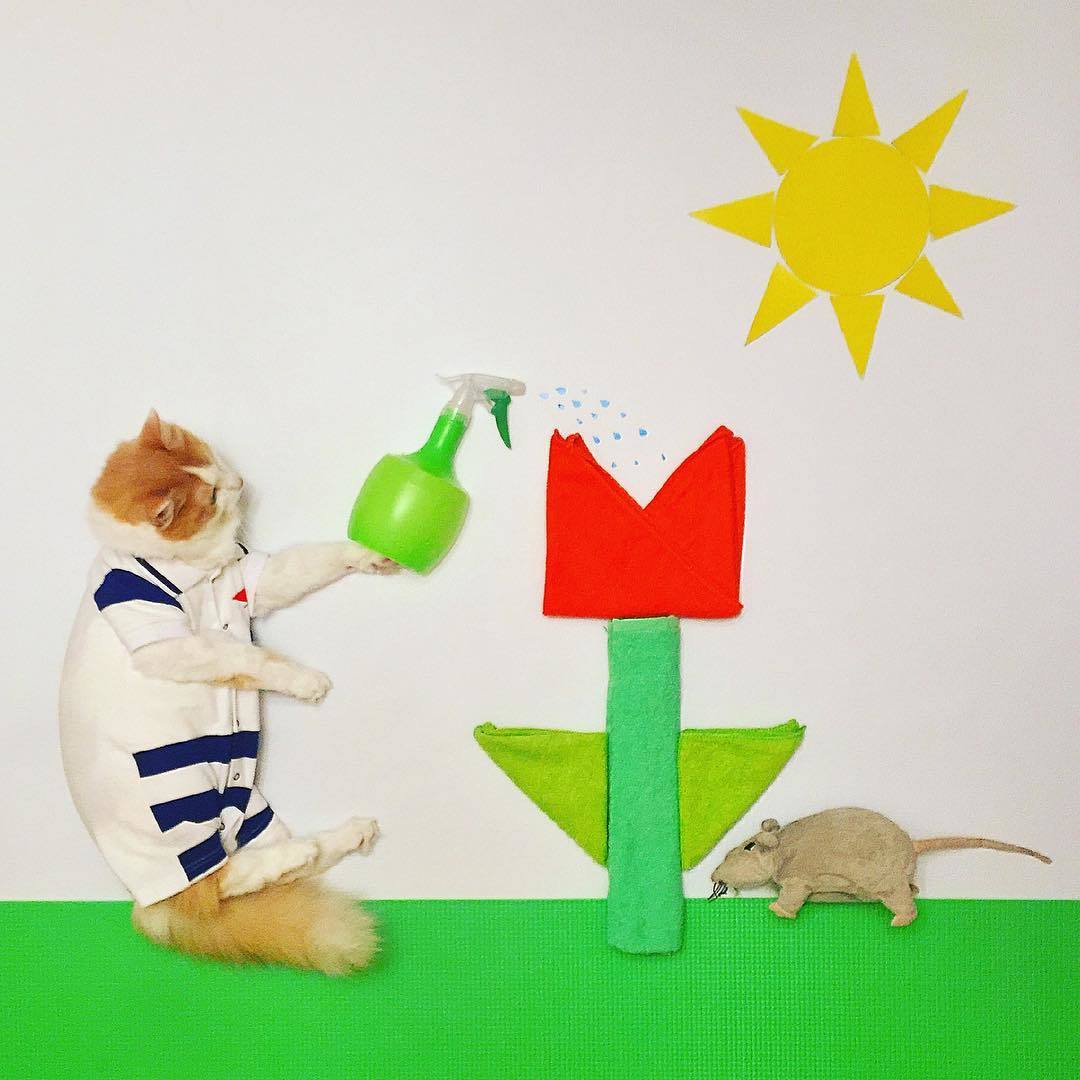 動物,犬,猫,しつけ,飼い方,育て方,病気,健康