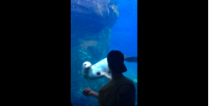 動物,犬,猫,しつけ,飼い方,育て方,病気,健康
