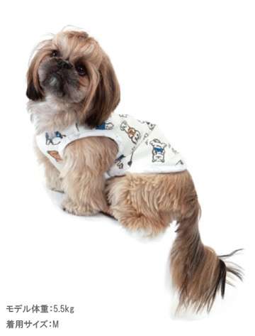 動物,犬,猫,しつけ,飼い方,育て方,病気,健康