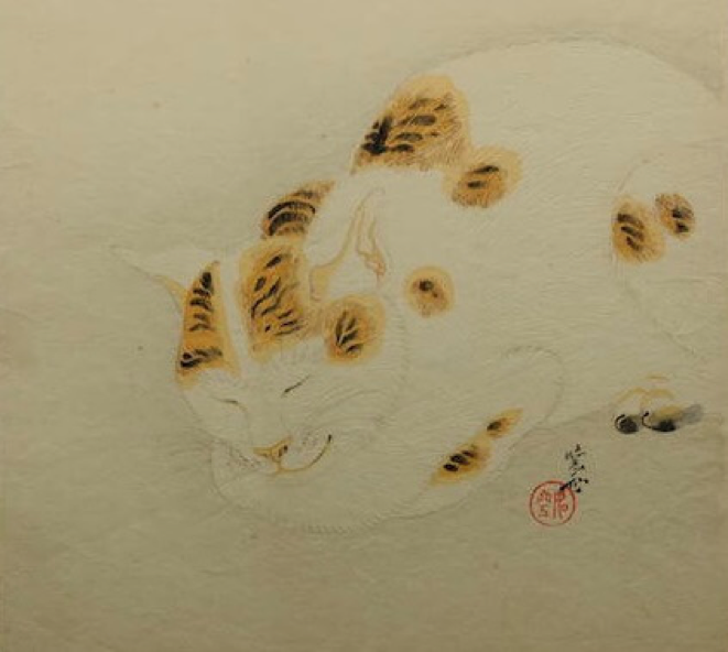 動物,犬,猫,しつけ,飼い方,育て方,病気,健康