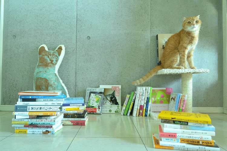 動物,犬,猫,しつけ,飼い方,育て方,病気,健康