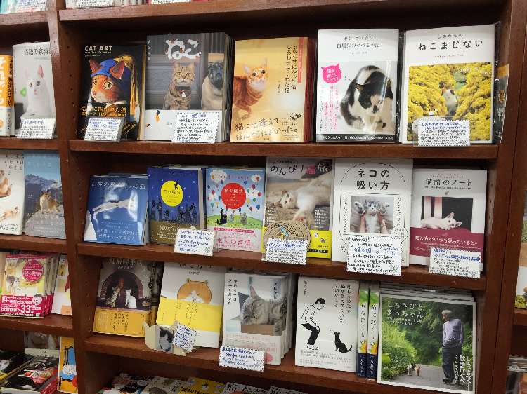 動物,犬,猫,しつけ,飼い方,育て方,病気,健康