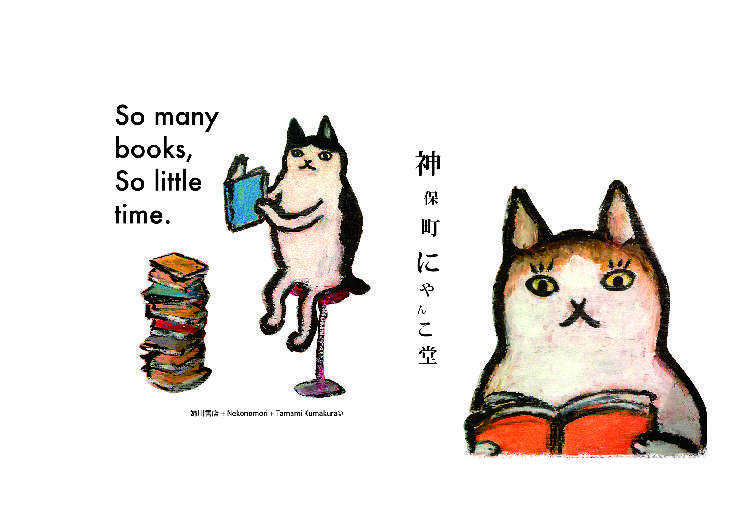 動物,犬,猫,しつけ,飼い方,育て方,病気,健康