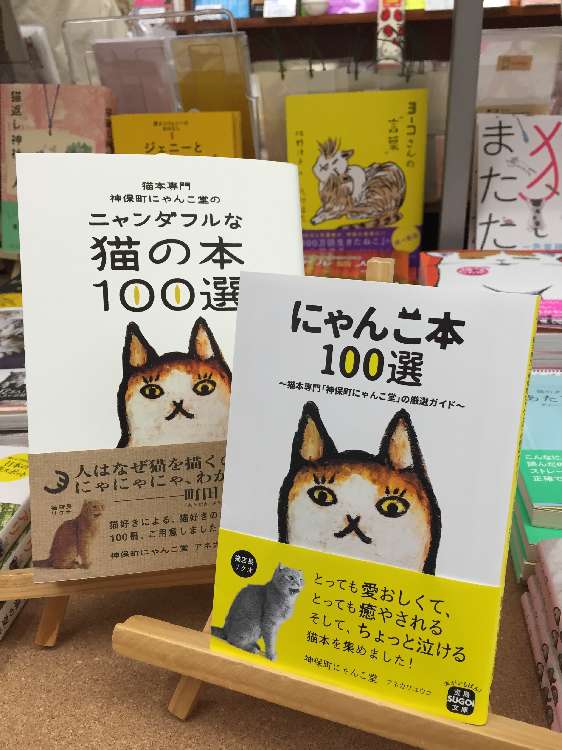 動物,犬,猫,しつけ,飼い方,育て方,病気,健康