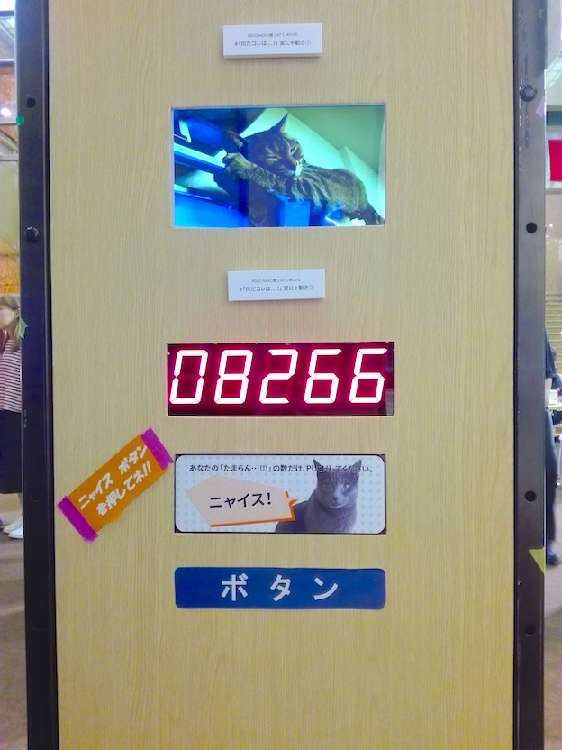 「このネコ…たまらにゃい!」と思った時に押す「ニャイスぼたん」。