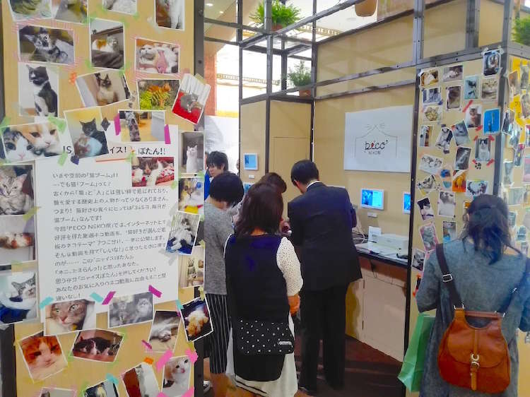 動物,犬,猫,しつけ,飼い方,育て方,病気,健康