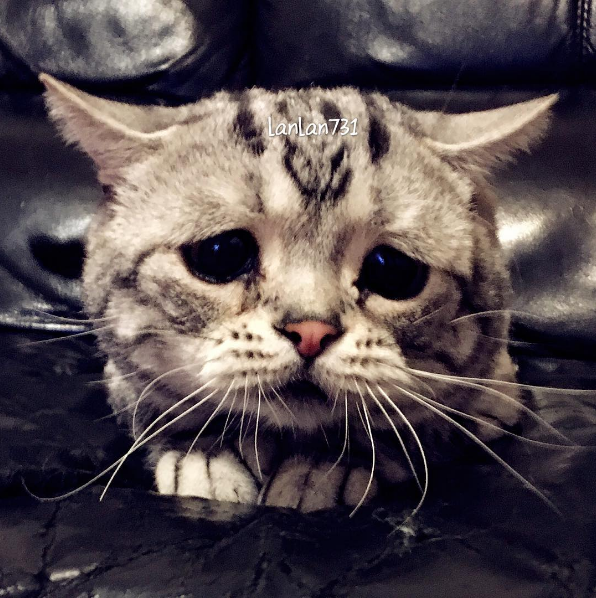 7.