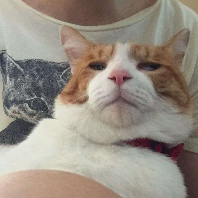 7.
