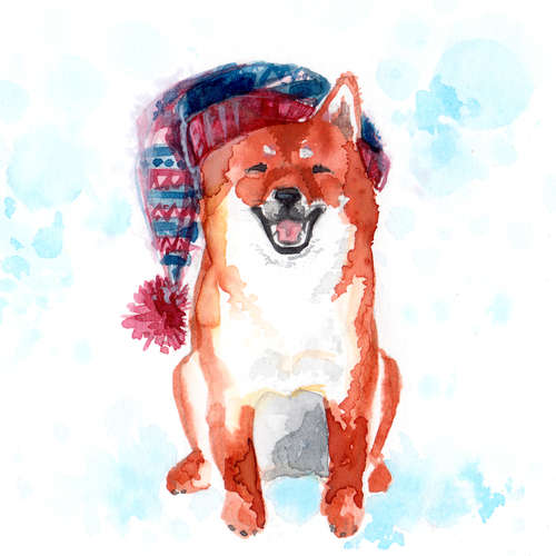 動物,犬,猫,しつけ,飼い方,育て方,病気,健康
