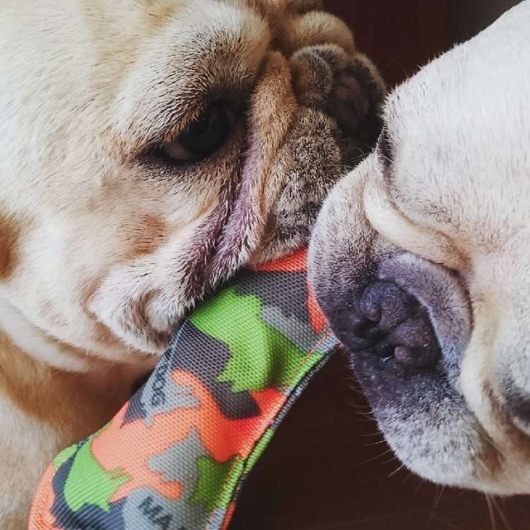 仲良くおもちゃ遊び♡