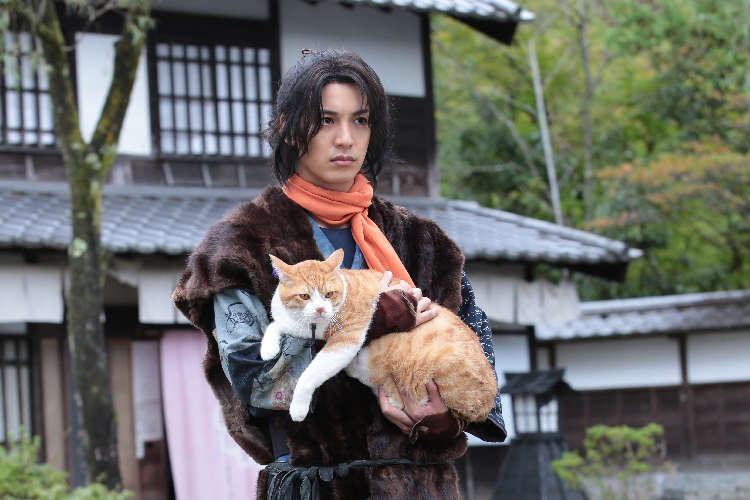 動物,犬,猫,しつけ,飼い方,育て方,病気,健康