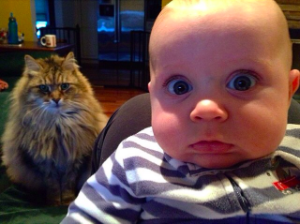 動物,犬,猫,しつけ,飼い方,育て方,病気,健康