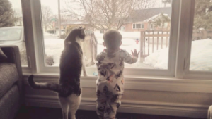 動物,犬,猫,しつけ,飼い方,育て方,病気,健康