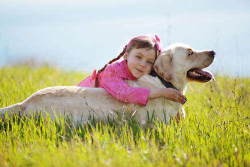 動物,犬,猫,しつけ,飼い方,育て方,病気,健康