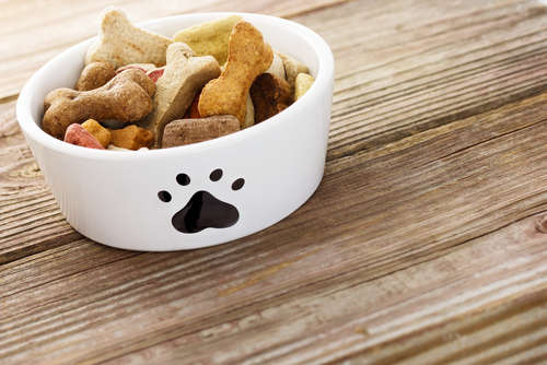 動物,犬,猫,しつけ,飼い方,育て方,病気,健康