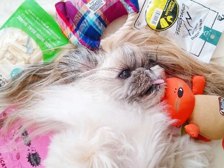 くまちゃん
