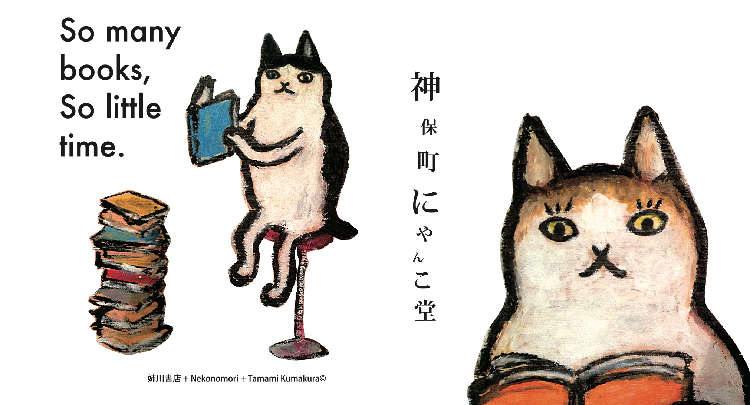 日本初の猫本専門店!詳しく知りたい「にゃんこ堂」とは