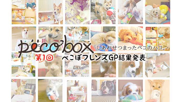 第1回 ぺこぼフレンズGP (グランプリ) 結果発表〜★ by PECOBOX
