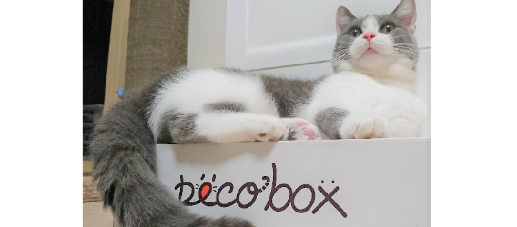 【PECOBOX4月号 ♡ 受付開始】今回のテーマは、イースター! しあわせつまったペコのハコ。