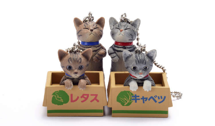 動物,犬,猫,しつけ,飼い方,育て方,病気,健康