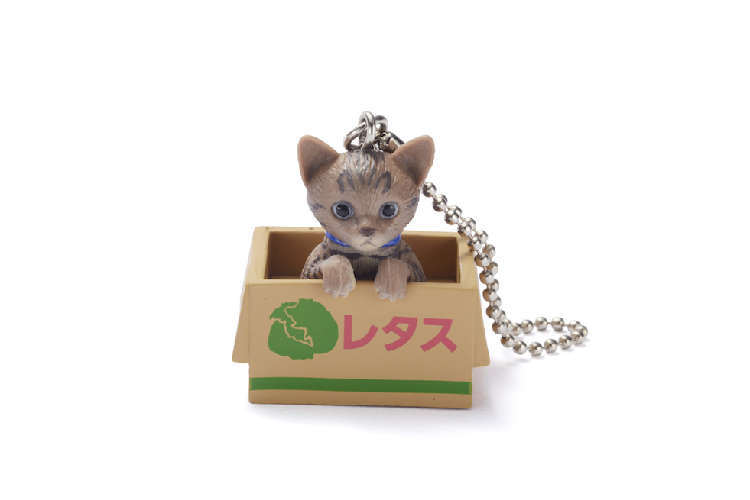 動物,犬,猫,しつけ,飼い方,育て方,病気,健康
