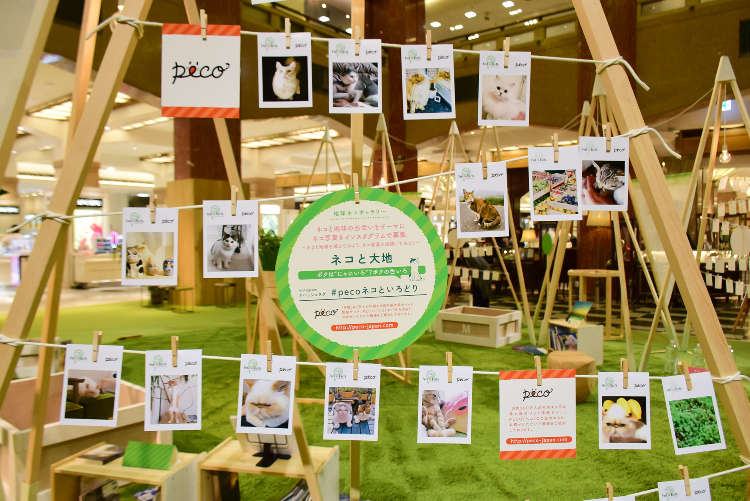 【5/9〜5/17】日本橋三越本店にて「Feel so Earth 今日は、ネコになろう」開催!