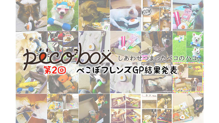 第2回 ぺこぼフレンズGP (グランプリ) 結果発表〜★ by PECOBOX