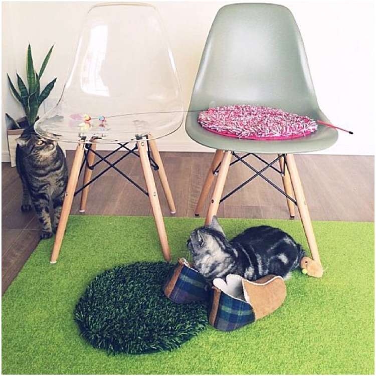 猫との暮らしを豊かに♪ 人気ブロガーが教える簡単DIY