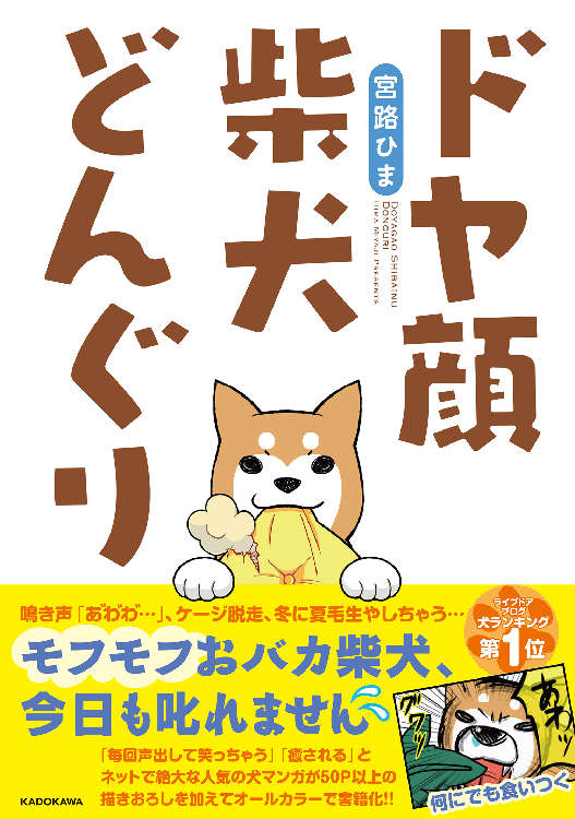 『ドヤ顔柴犬どんぐり』宮路ひま (著)