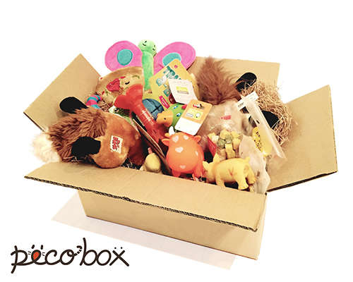 『PECO BOX 』販売開始♡ 愛犬へのプレゼントに♪