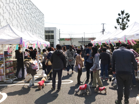 動物,犬,猫,しつけ,飼い方,育て方,病気,健康