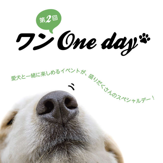 動物,犬,猫,しつけ,飼い方,育て方,病気,健康