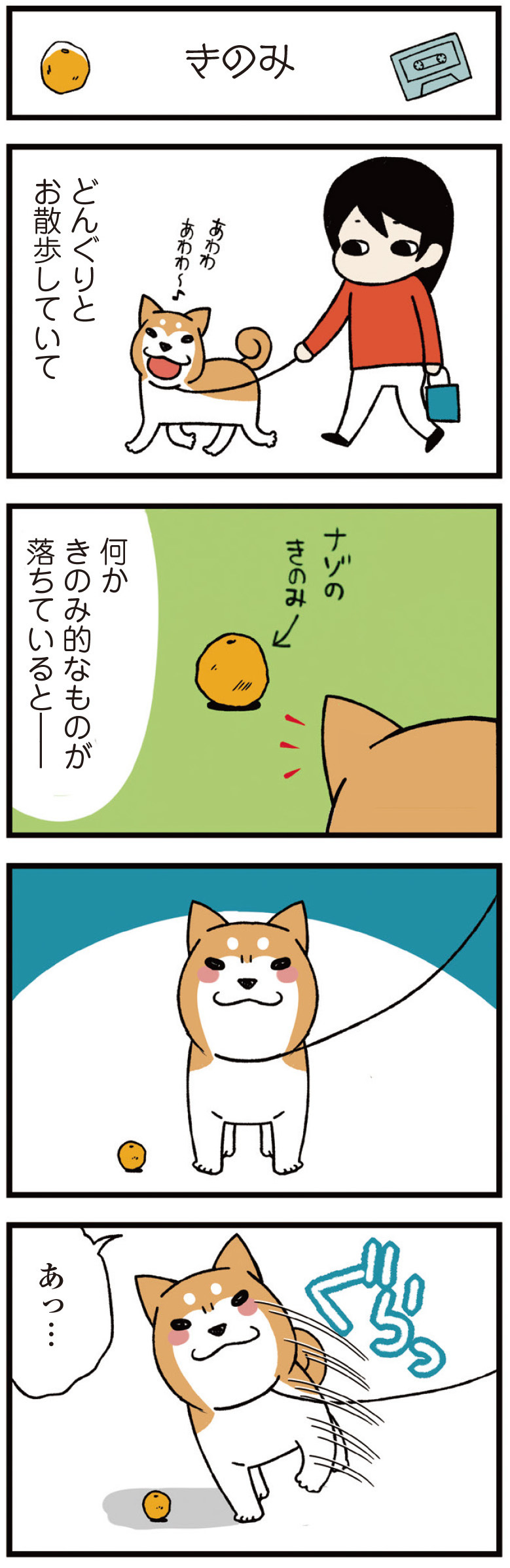 動物,犬,猫,しつけ,飼い方,育て方,病気,健康