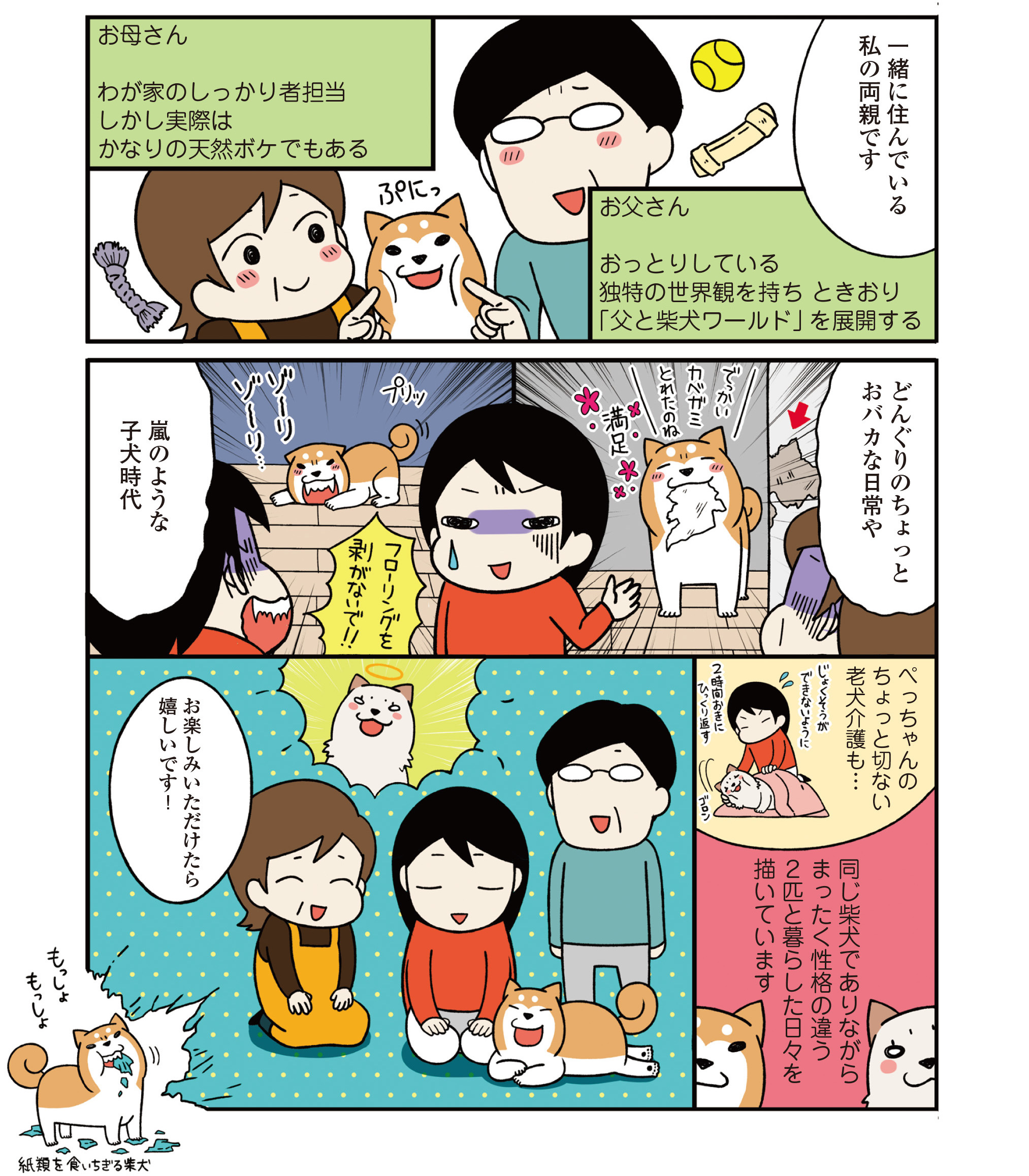 動物,犬,猫,しつけ,飼い方,育て方,病気,健康