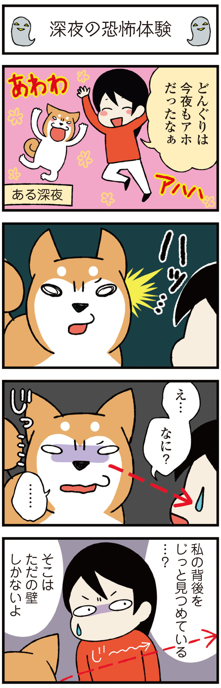 動物,犬,猫,しつけ,飼い方,育て方,病気,健康