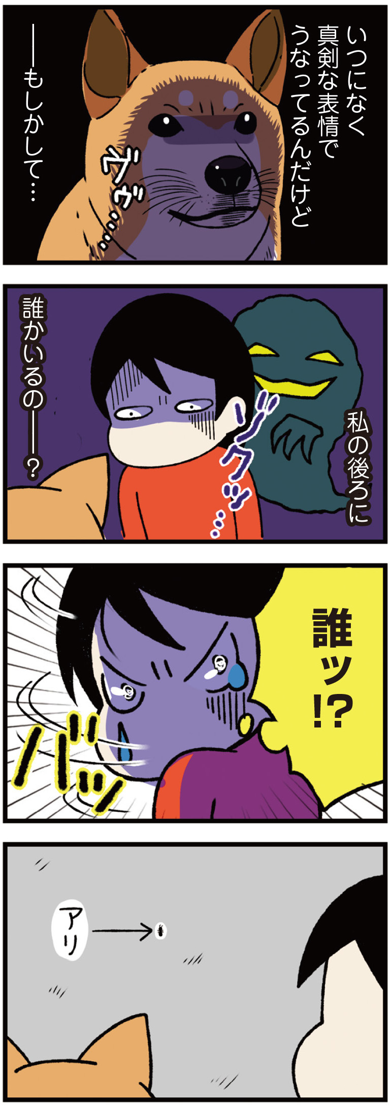 動物,犬,猫,しつけ,飼い方,育て方,病気,健康