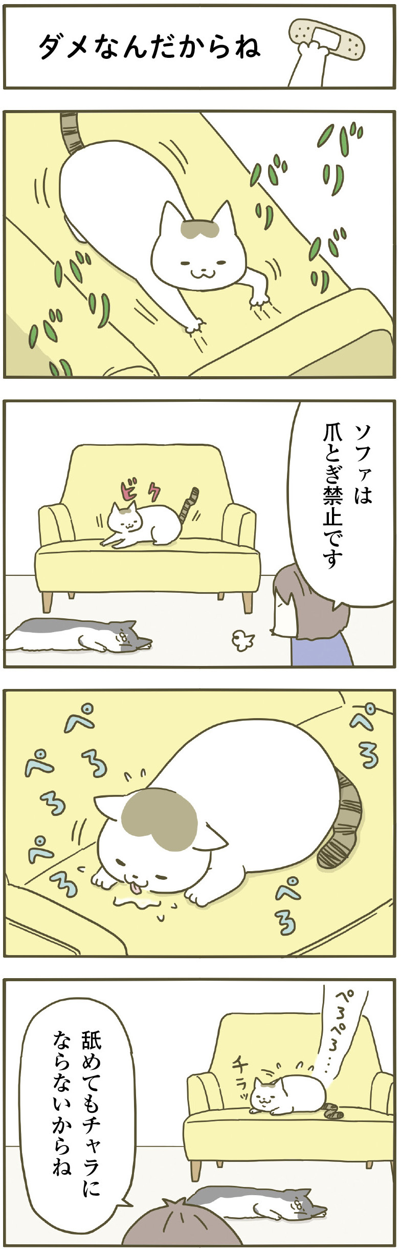 動物,犬,猫,しつけ,飼い方,育て方,病気,健康