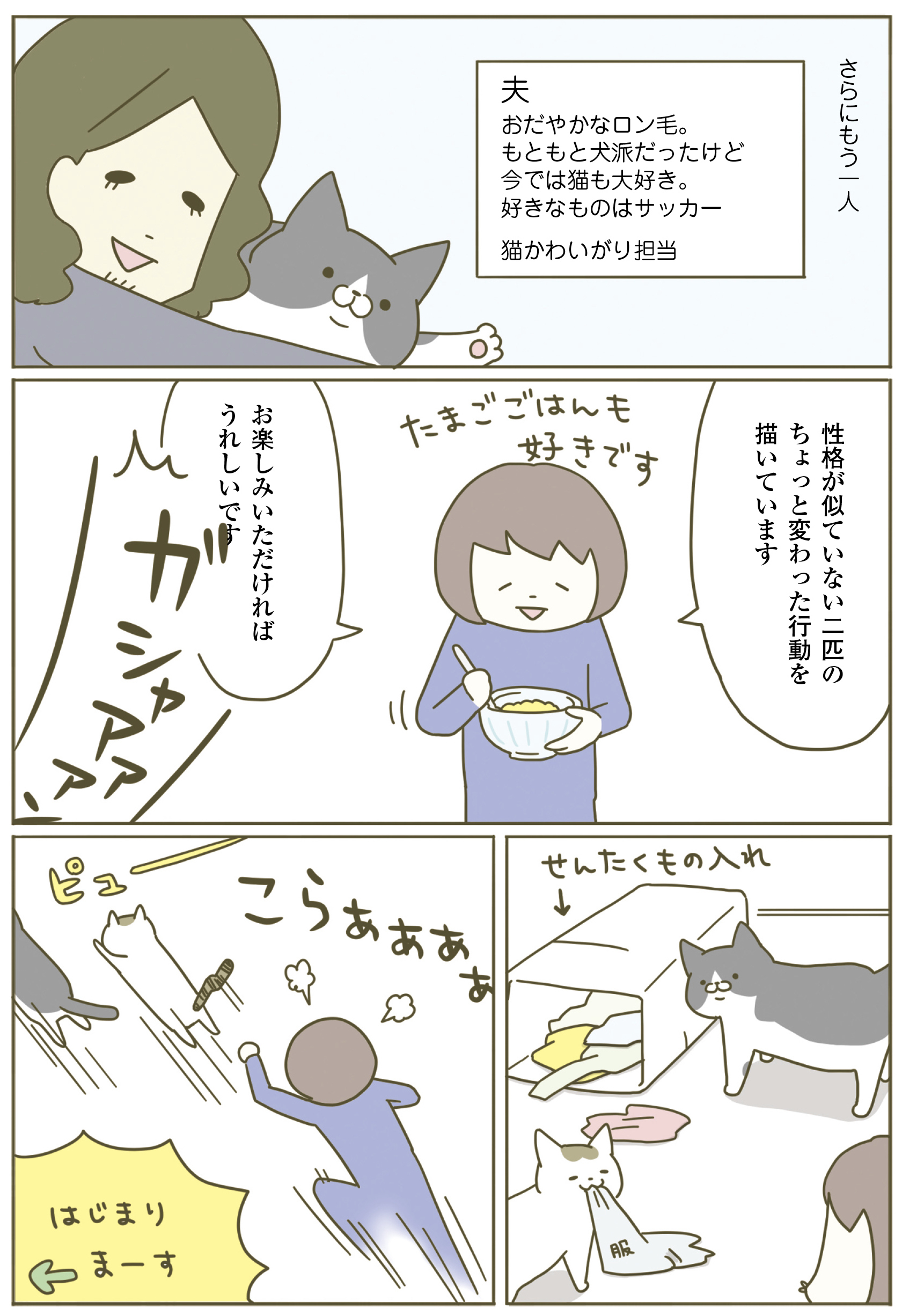 動物,犬,猫,しつけ,飼い方,育て方,病気,健康