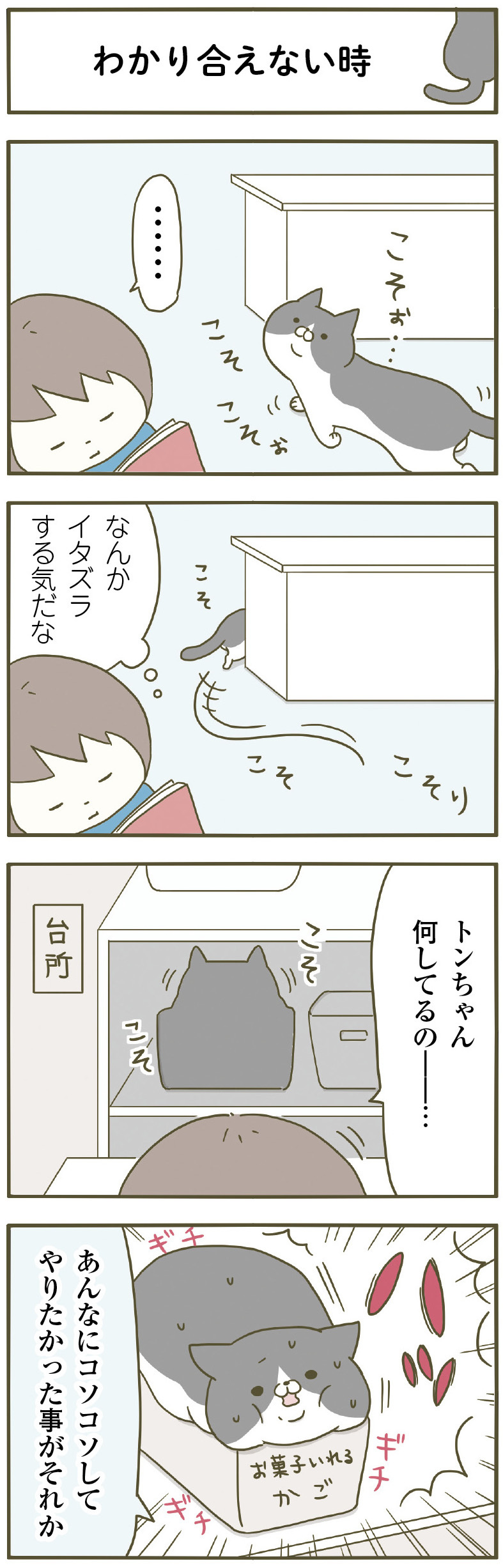 動物,犬,猫,しつけ,飼い方,育て方,病気,健康