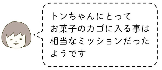 動物,犬,猫,しつけ,飼い方,育て方,病気,健康