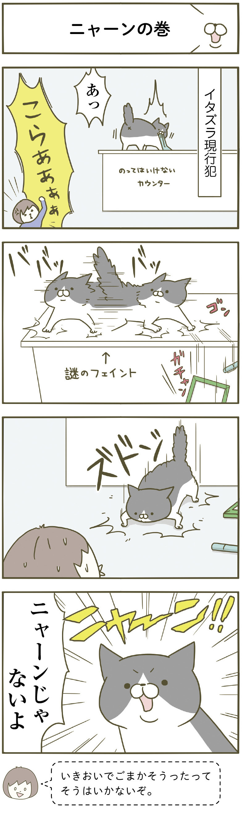 動物,犬,猫,しつけ,飼い方,育て方,病気,健康